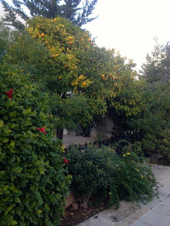 Paphos Studios Exterior photo