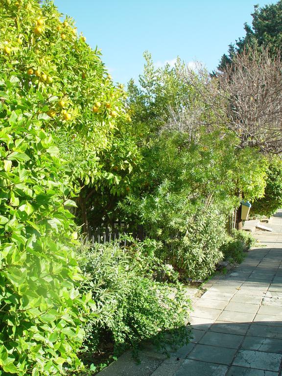 Paphos Studios Exterior photo